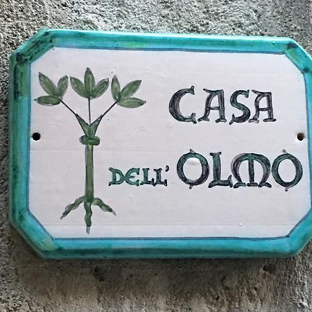 Апартаменти Casa Dell'Olmo Орв'єто Екстер'єр фото