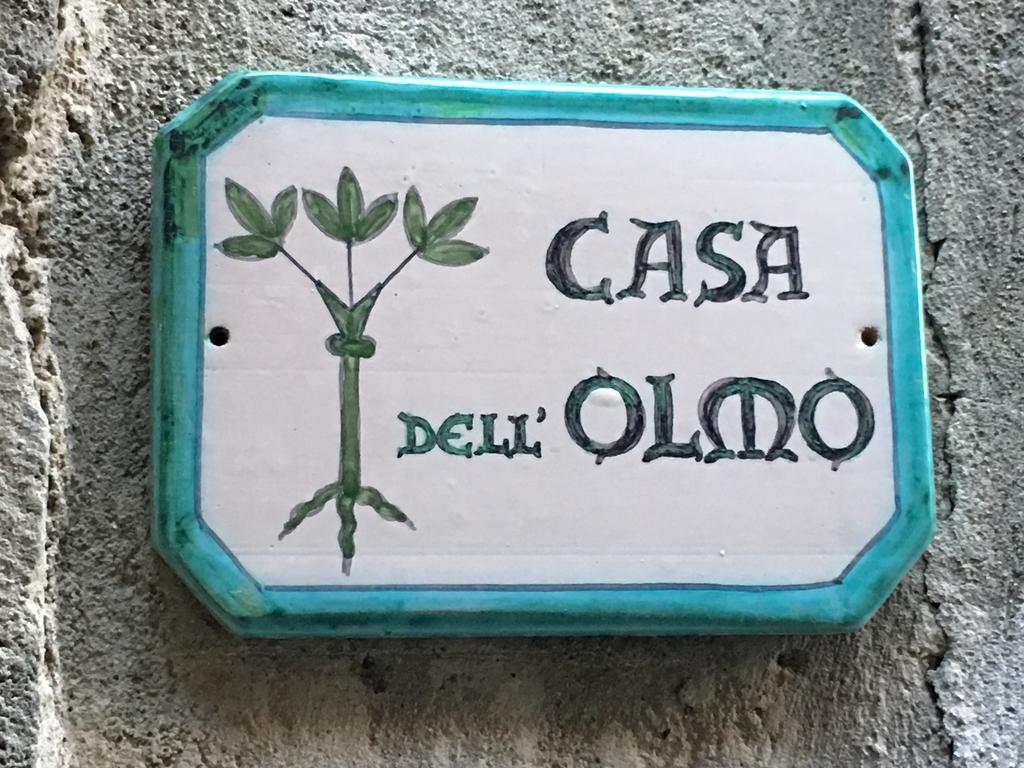 Апартаменти Casa Dell'Olmo Орв'єто Екстер'єр фото