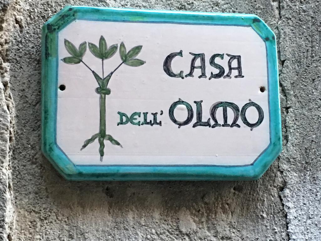 Апартаменти Casa Dell'Olmo Орв'єто Екстер'єр фото